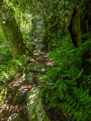 The Appalachian Trail climbs steps near Big Firescald Knob