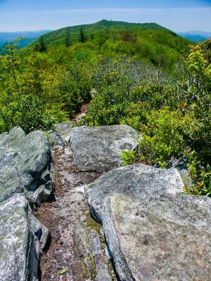 Rocks on Appalachian Trail near Camp Creek Bald Rocks on Appalachian Trail near Camp Creek Bald