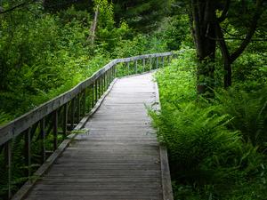 Barnett Branch Bridge