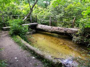 Innovative Log Bridge