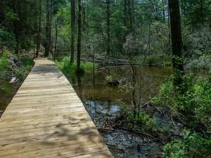 New Boardwalk in Pink Beds