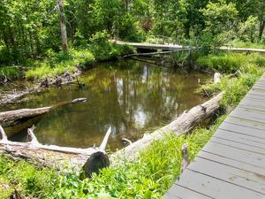 Boardwalk around Beaver Pond