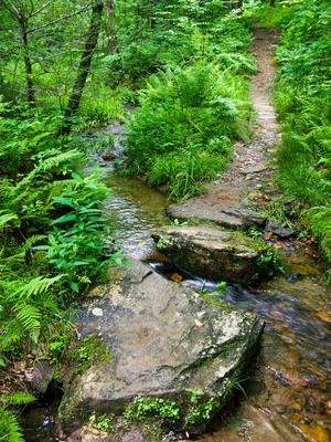 Stream Crossing in Pink Beds