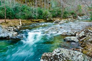 Rapid on Big Laurel Creek Rapid on Big Laurel Creek