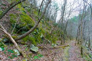 Rocky Slopes above the Laurel River Trail Rocky Slopes above the Laurel River Trail