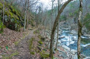 Mossy Rocks, Trail, and River Mossy Rocks, Trail, and River