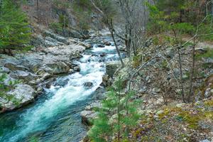 Big Laurel Creek Big Laurel Creek