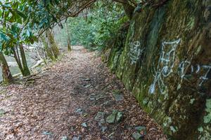 Rock Wall beside the Laurel River Trail Rock Wall beside the Laurel River Trail