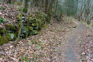 Rock Wall near Runion Rock Wall near Runion