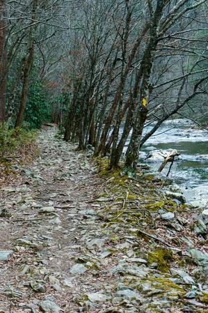 Rocky Stretch of Laurel River Trail Rocky Stretch of Laurel River Trail