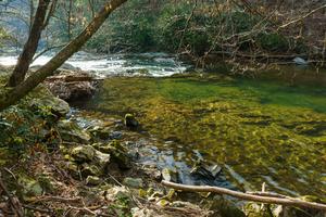 Clear Water and Sunlight Clear Water and Sunlight