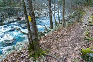 Yellow Blaze Blue Water Yellow Blaze Blue Water