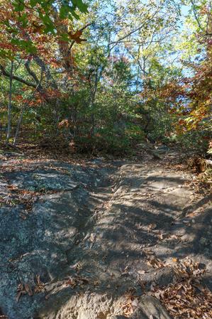 Rocky Section of Big Piney Ridge