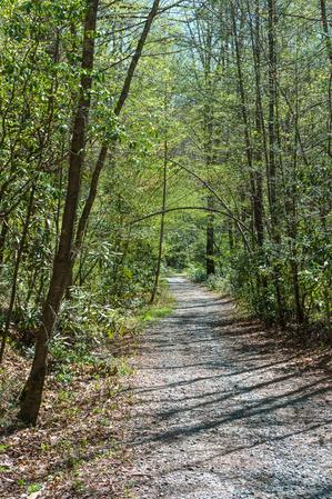 Old Davidson River Road Old Davidson River Road