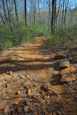 Red Clay Section of Daniel Ridge Loop Trail Red Clay Section of Daniel Ridge Loop Trail
