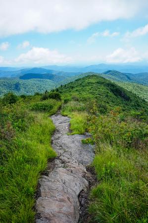 Art Loeb Trail on Tennent Mountain Art Loeb Trail on Tennent Mountain