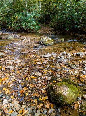 Creek Crossing on Elk Pen Trail Creek Crossing on Elk Pen Trail