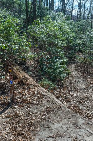 Cat Gap Bypass Trail Cat Gap Bypass Trail