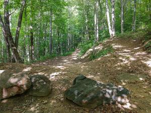 Boulders at the Start of the Bear Pen Trail Boulders at the Start of the Bear Pen Trail