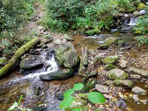 Little Andy Creek Crossing on Elk Pen Trail Little Andy Creek Crossing on Elk Pen Trail