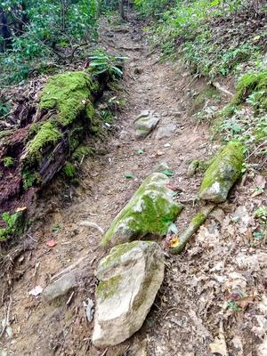 Steep Section of Elk Pen Trail Steep Section of Elk Pen Trail