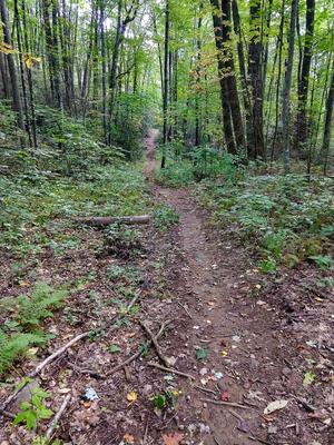 Strait Section of Elk Pen Trail Strait Section of Elk Pen Trail