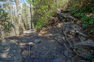 Table Rock and Mountains to Sea Trails Table Rock and Mountains to Sea Trails
