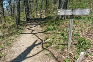 Table Rock and Mountains to Sea Trails Table Rock and Mountains to Sea Trails