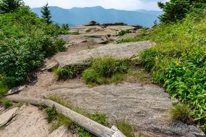 Overlook on Mount Craig