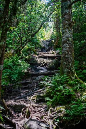 Steep Section of Deep Gap Trail